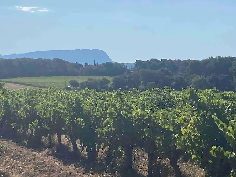 Domaine Dupais, 15 Min Du Centre D'Aix En Provence Villa Aix-en-Provence