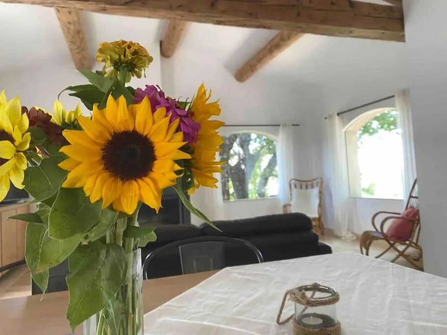 Domaine Dupais, 15 Min Du Centre D'Aix En Provence Villa Aix-en-Provence