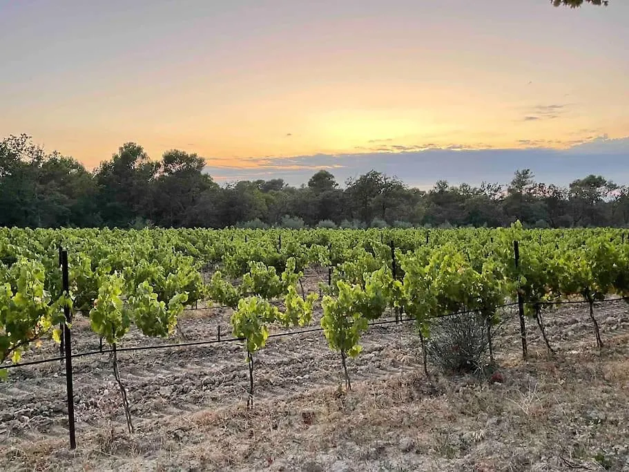 Domaine Dupais, 15 Min Du Centre D'Aix En Provence Villa Aix-en-Provence 0*,